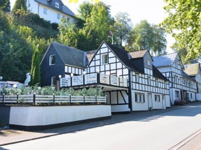 Wilzenberg II